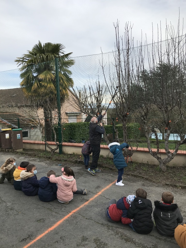 les élèves assistent à la taille d'arbres fruitiers